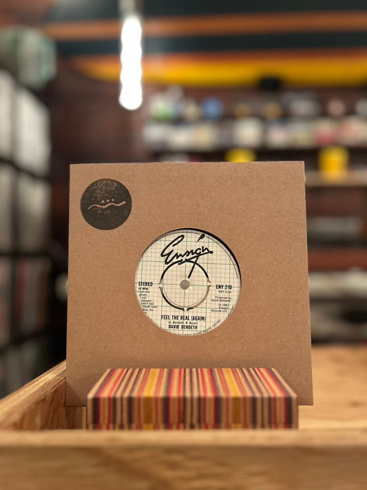 DAVID BENDETH / FEEL THE REAL AGAIN