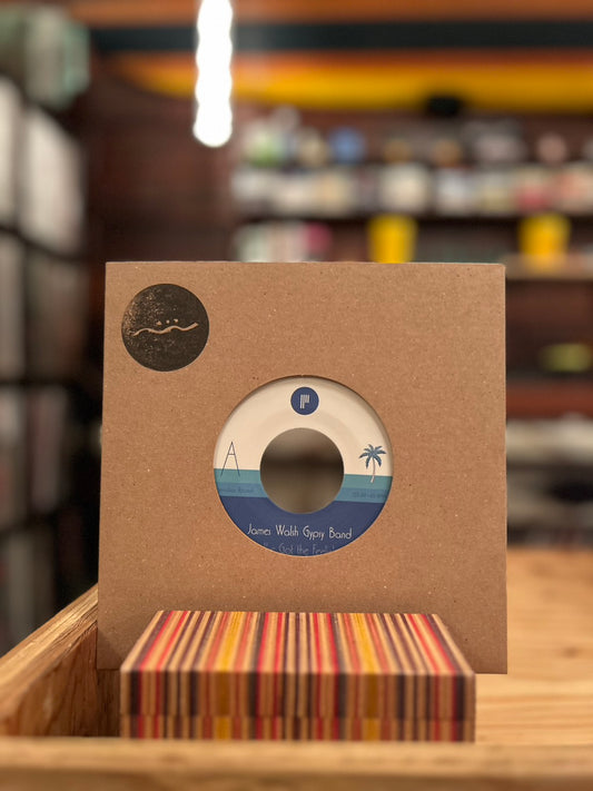 JAMES WALSH GYPSY BAND / I'VE GOT THE FEELIN'