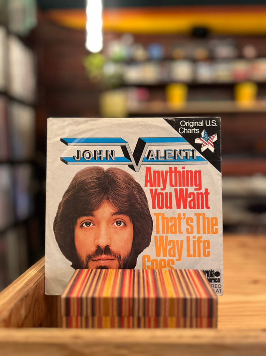 JOHN VALENTI / ANYTHING YOU WANT
