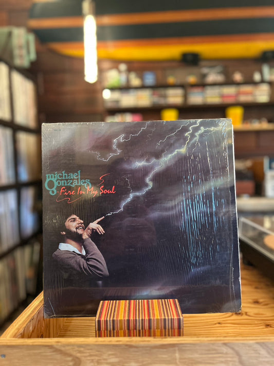 MICHAEL GONZALES / FINE IN MY SOUL