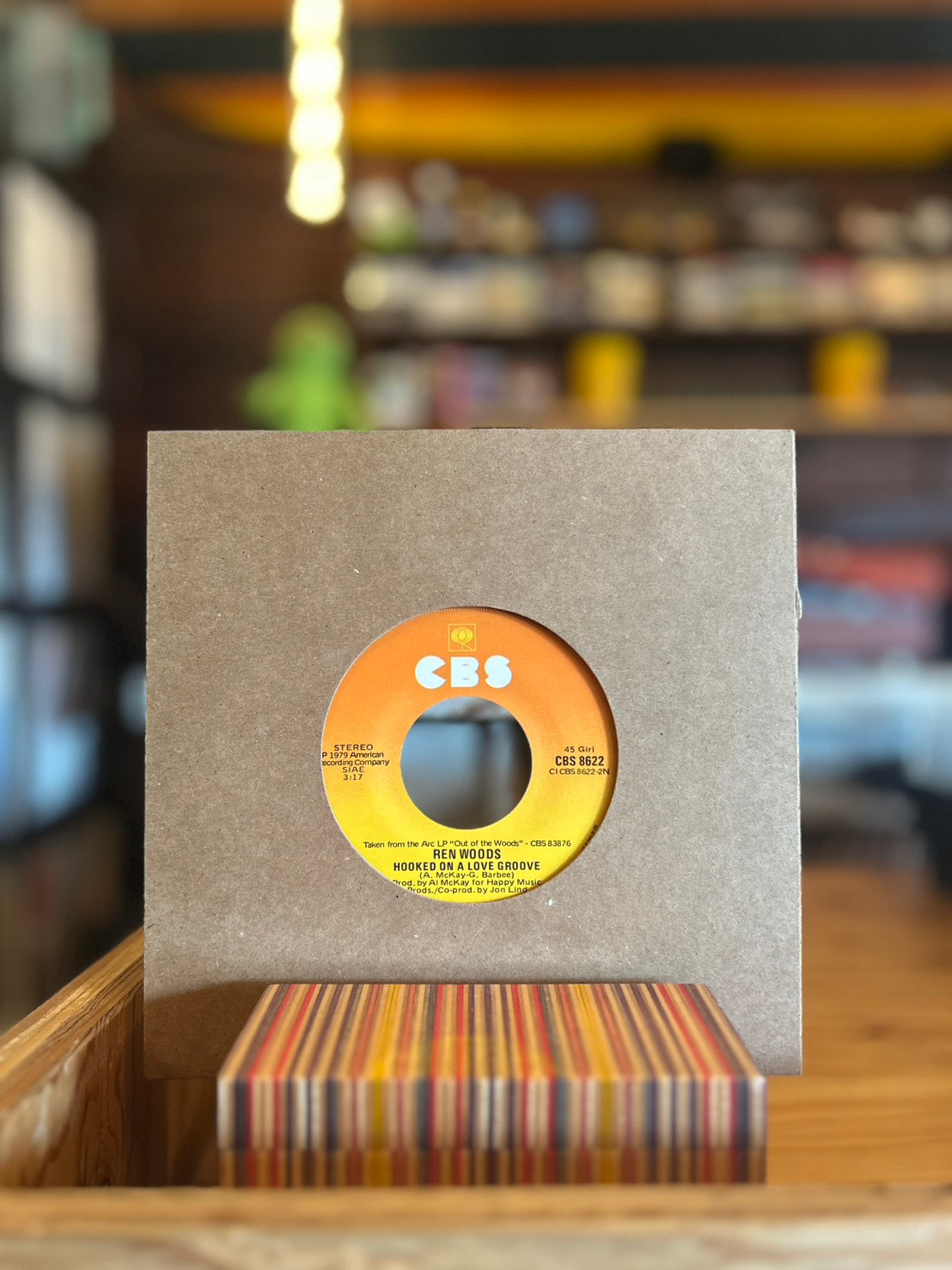 REN WOODS / STICKS AND STONES