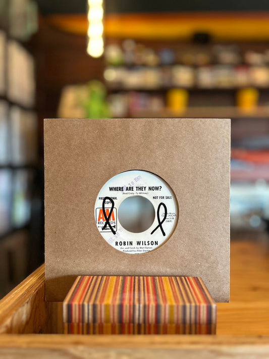 ROBIN WILSON / WHERE ARE THEY NOW?