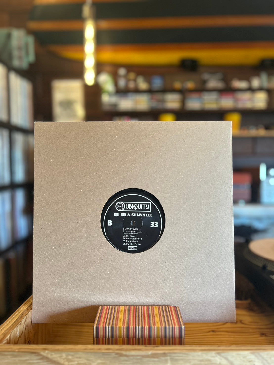 BEI BEI & SHAWN LEE / INTO THE WIND