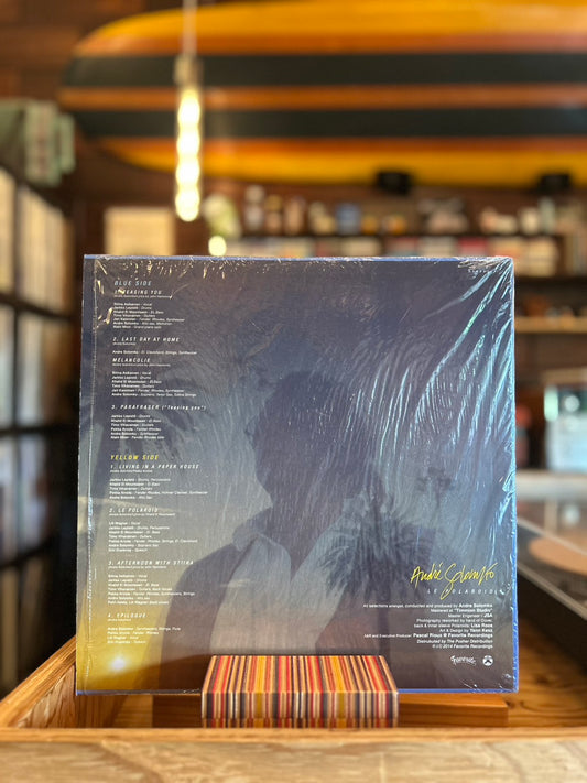 ANDRE SOLOMKO / LE POLAROID