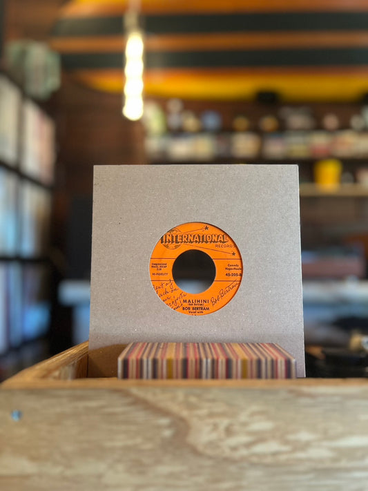 BOB BERTRAM / I'LL ROAM NO MORE