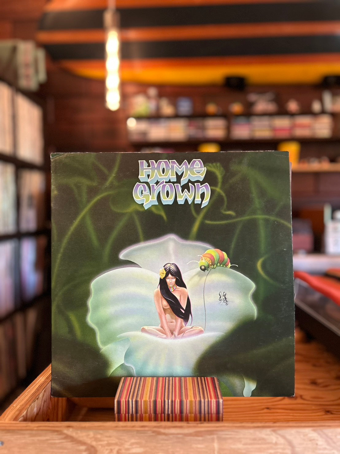 Hapa Haole Hawaii LP ハワイレコード1　5枚セット 楽天市場】【新品 Collectible Hawaiian CD】Hawaiian