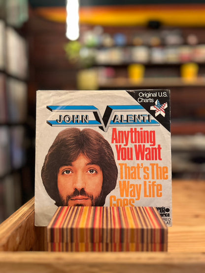 JOHN VALENTI / ANYTHING YOU WANT