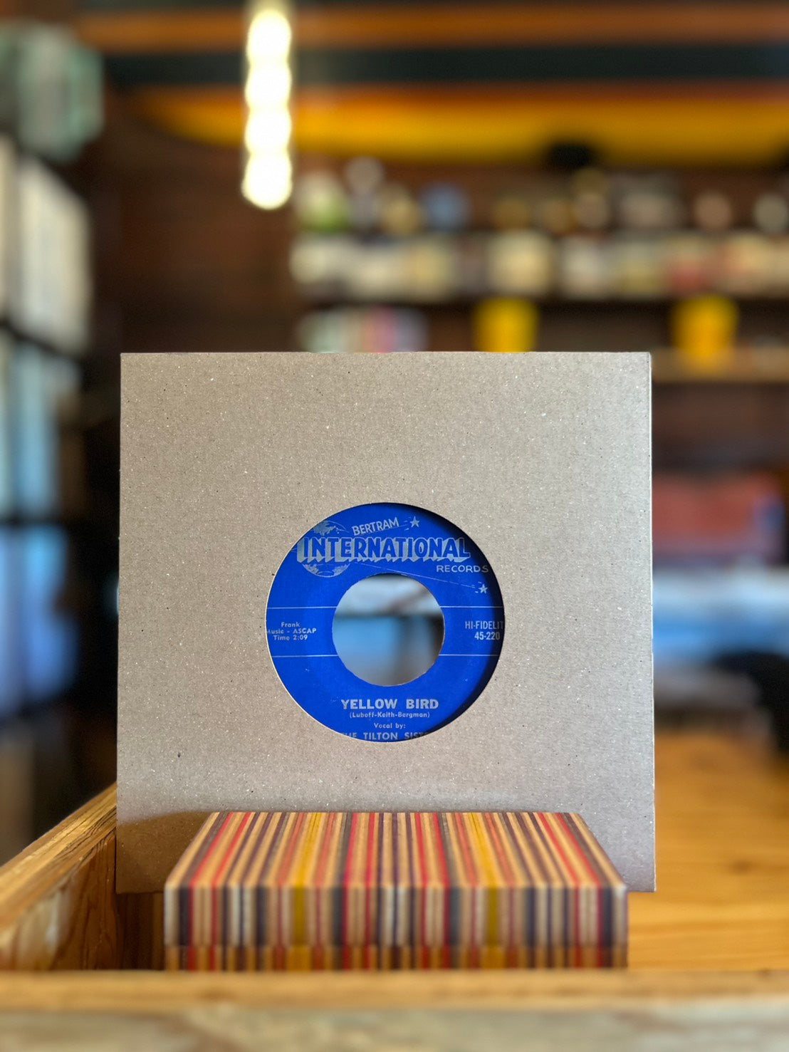 THE TILTON SISTERS / BONGOS IN THE MOONLIGHT