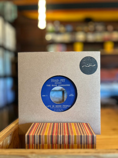 THE BLUE KANGAROO / HERE'S MY SONG