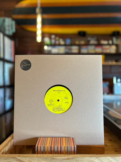 ED ROY / WHAT'S IMPORTANT TO YOU