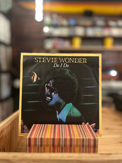 STEVIE WONDER / DO I DO