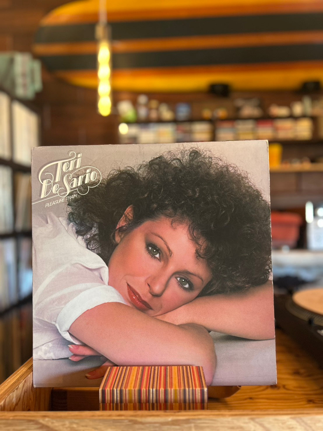 TERI DE SARIO / PLEASURE TRAIN