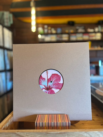 PANA / HIBISCUS EP
