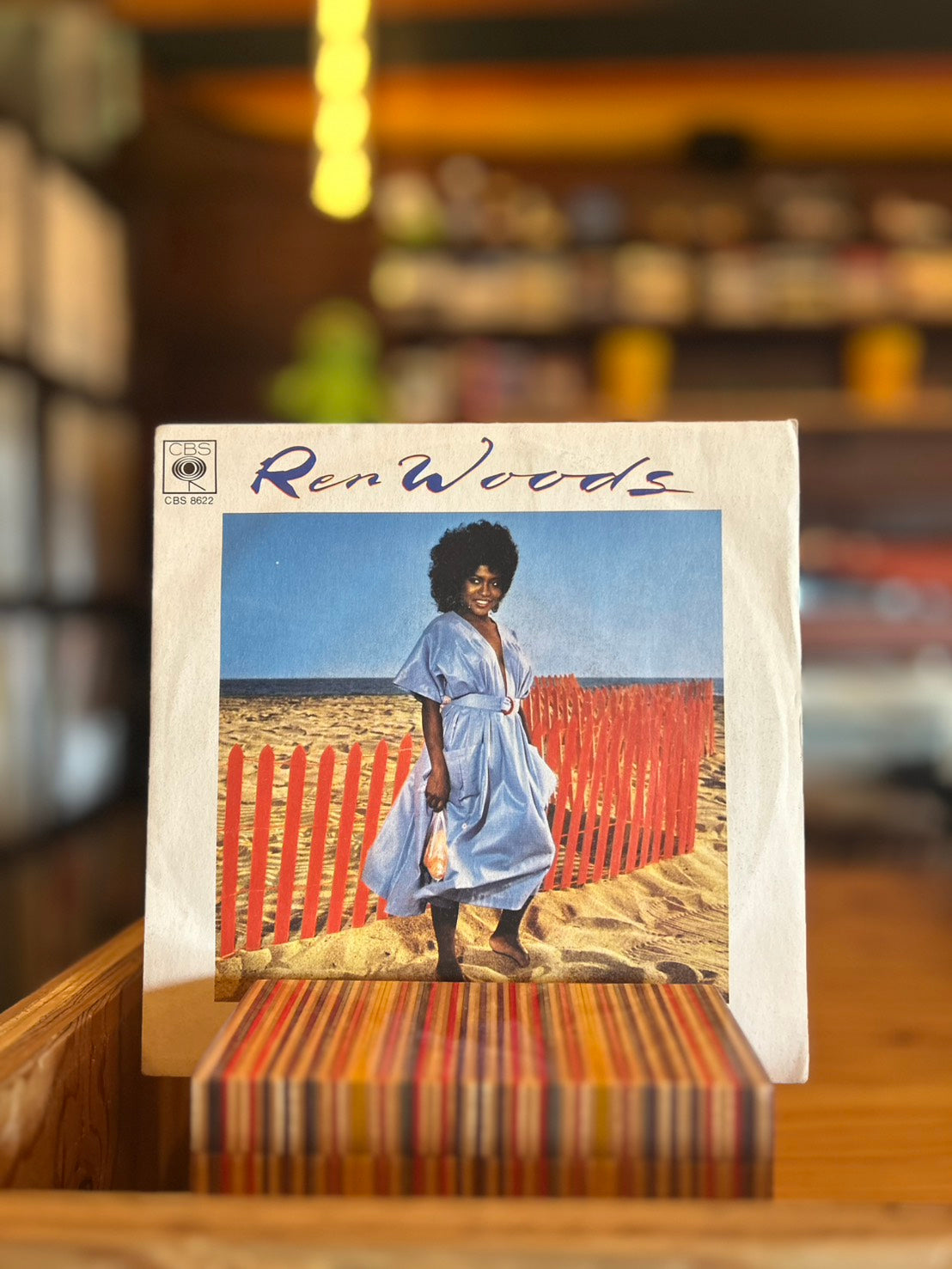 REN WOODS / STICKS AND STONES