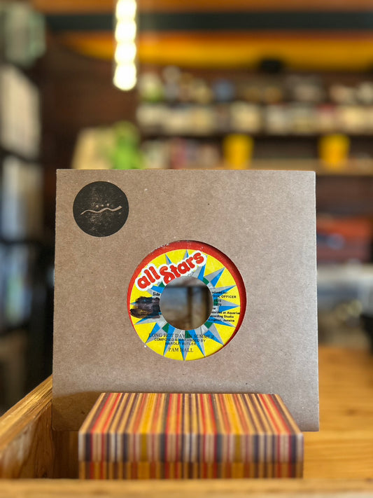 PAM HALL / LONG HOT DAY IN SUMMER