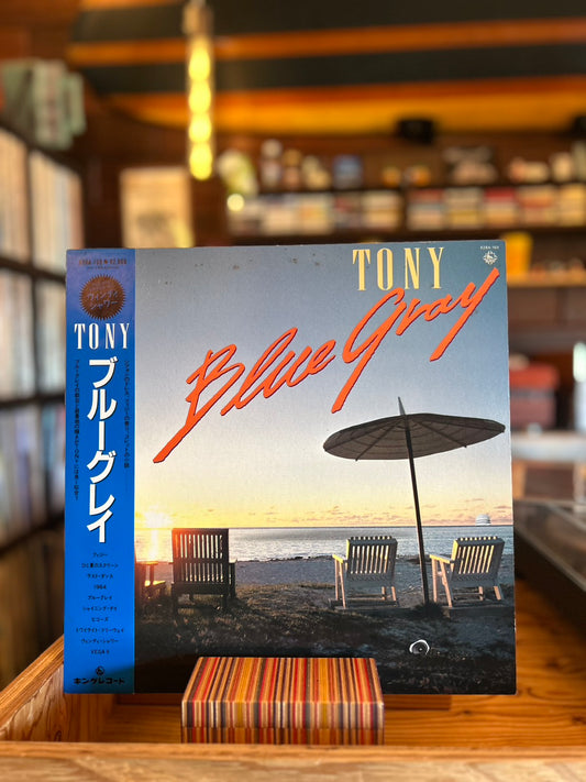 TONY / BLUE GRAY
