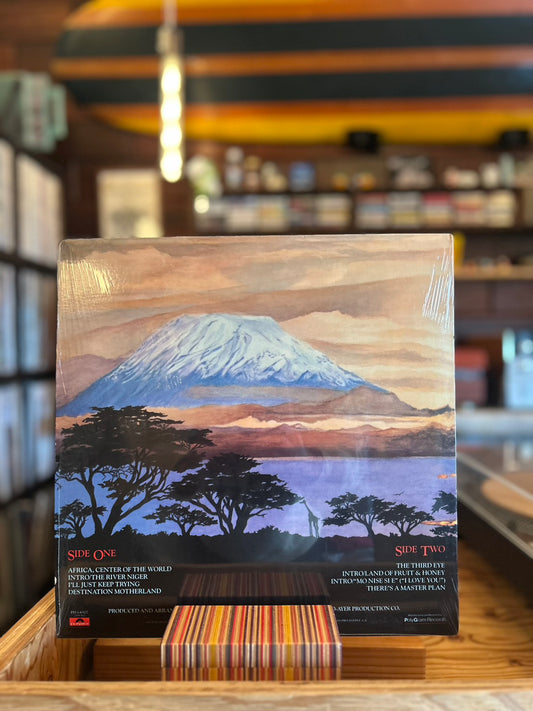 ROY AYERS / CENTER OF THE WORLD