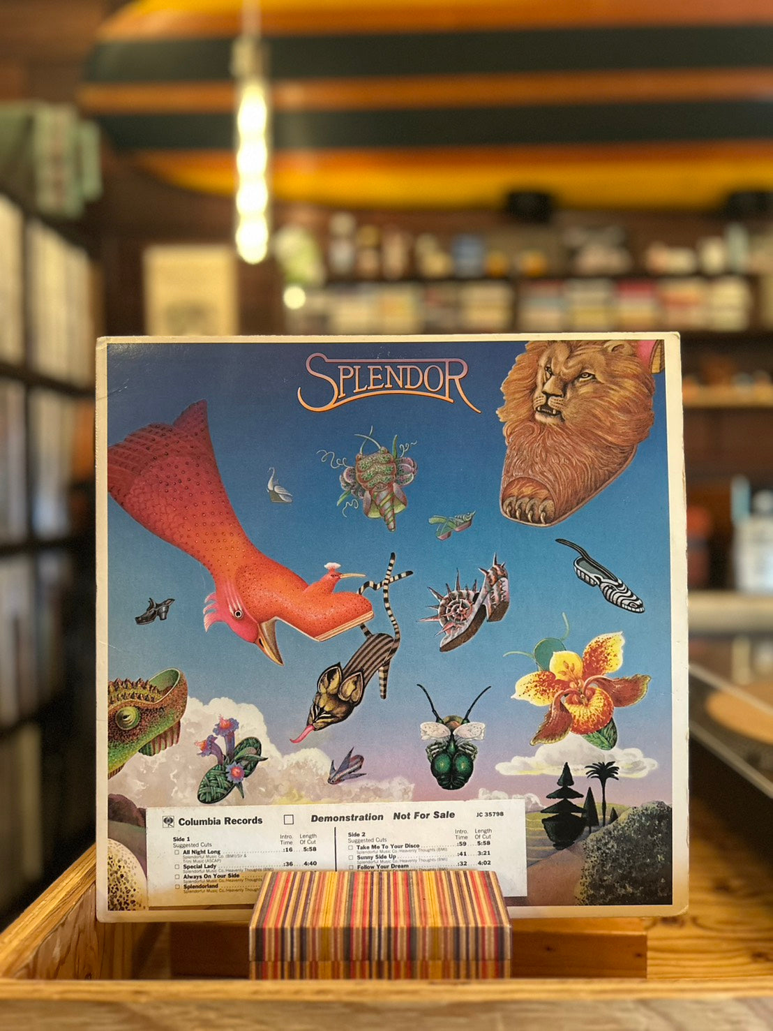 SPLENDOR / ST
