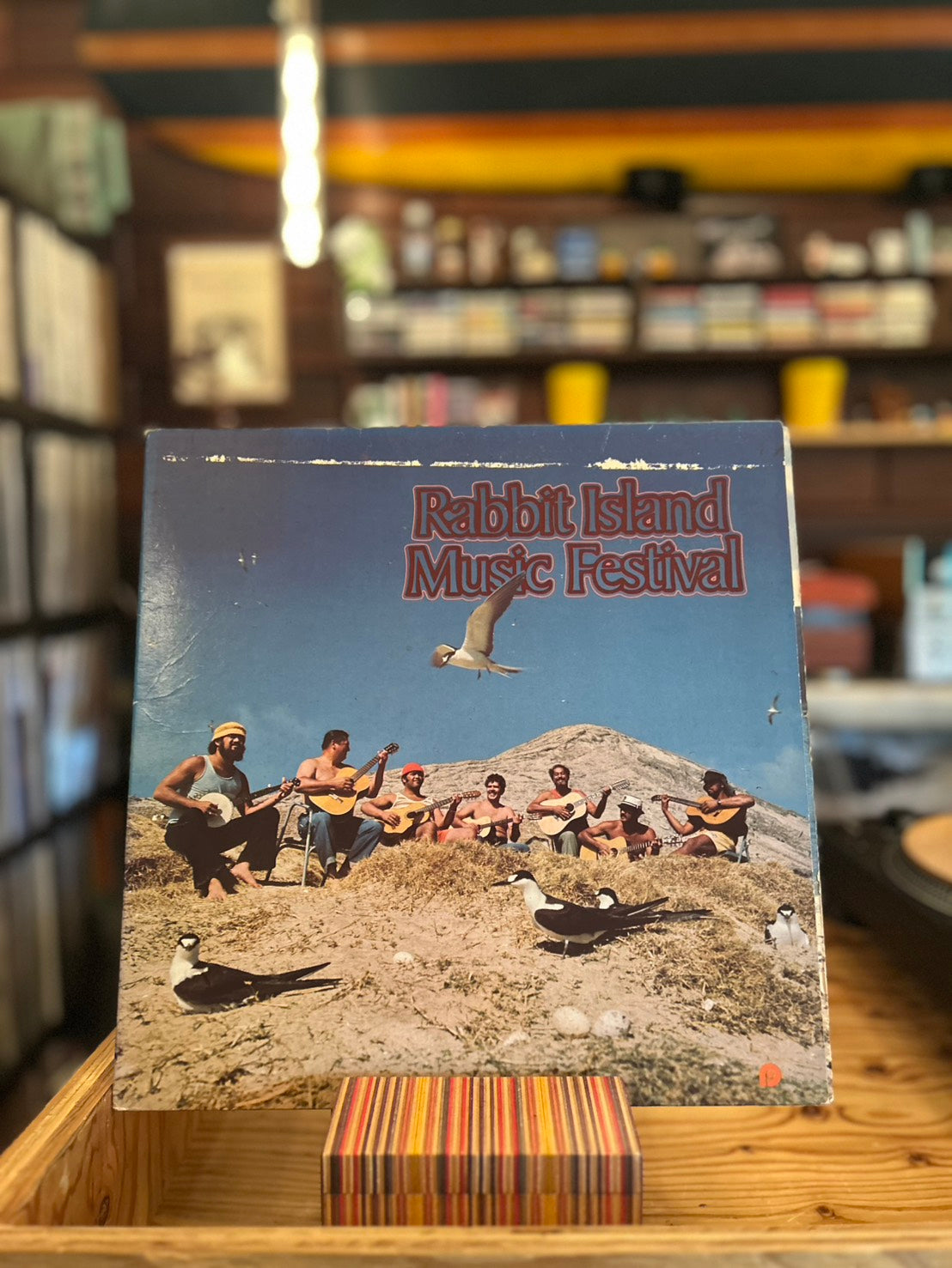GABBY PAHINUI / RABBIT ISLAND MUSIC FESTIVAL
