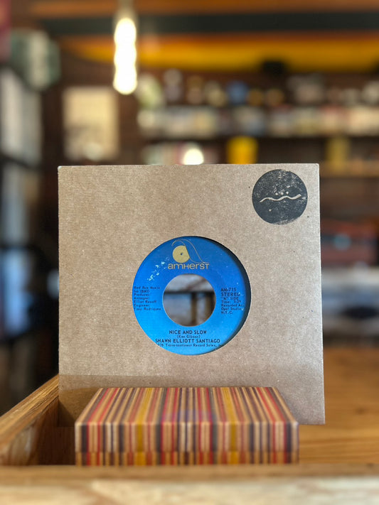 SHAWN ELLIOTT SANTIAGO / NICE AND SLOW