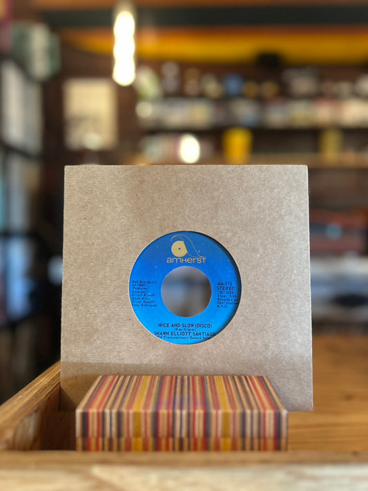SHAWN ELLIOTT SANTIAGO / NICE AND SLOW