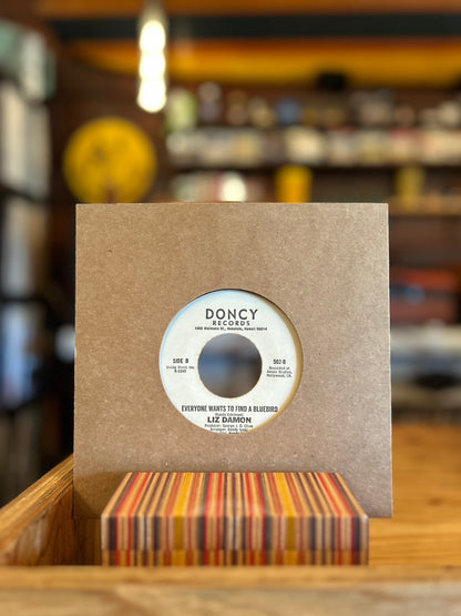 LIZ DAMON / NOTHING GOOD COMES EAZY